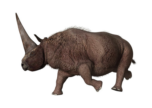 3D Rendering Rhinoceros Elasmotherium on White