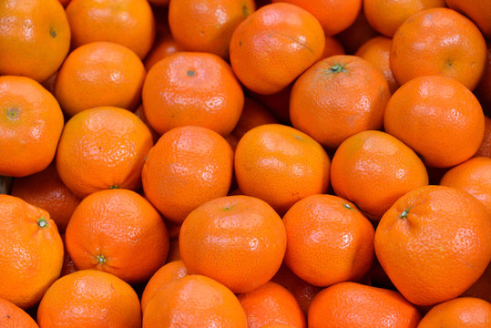 Clementine oranges