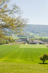 Mariastein, Dorf, Kloster, Kloster Mariastein, Spazierweg, Wanderweg, Wallfahrt, Landwirtschaft, Felder, Obstbaum, Frühling, Schweiz