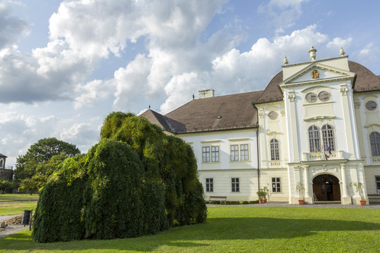 Forgacs mansion in Szecseny