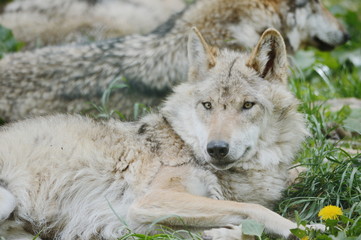 Obraz premium Processed with VSCOcam with m5 preset