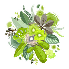 Botanical illustration of exotic leaves