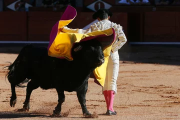 Photo sur Plexiglas Tauromachie torero y toro en la plaza