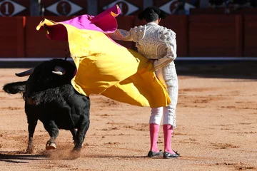 Printed kitchen splashbacks Bullfighting Torero y toro en la paza