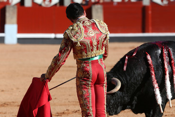 Torero y toro en la paza