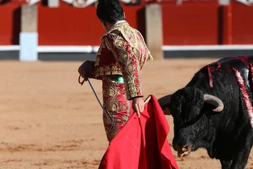 Photo sur Plexiglas Tauromachie Torero y toro en la paza