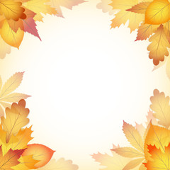 Autumn design background with leaves falling from the tree. EPS10