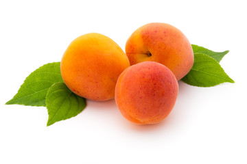 Apricots.