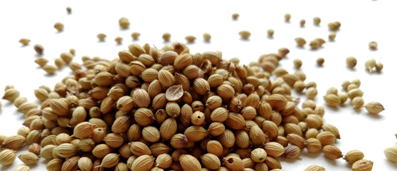 Coriander seeds