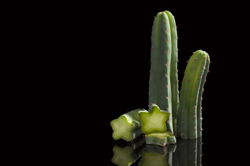 San Pedro cactus. - obrazy, fototapety, plakaty