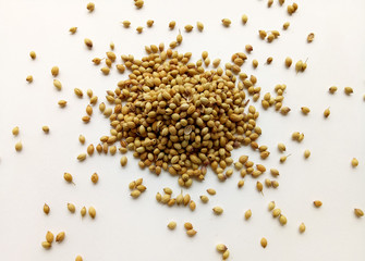 Coriander seeds