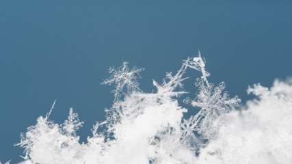 natural snowflakes on snow