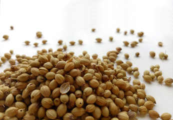 Coriander seeds