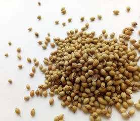 Coriander seeds
