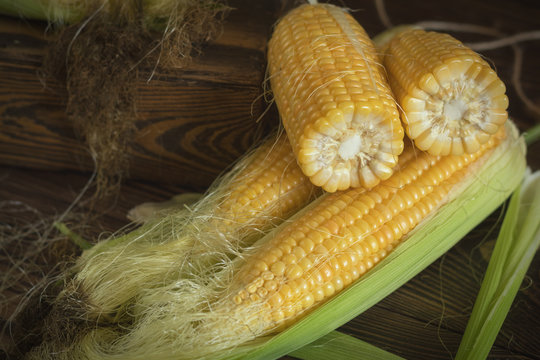 Fresh sweet corn on cobs on rustic wooden table, close up. Toned. Shallow depth of field.