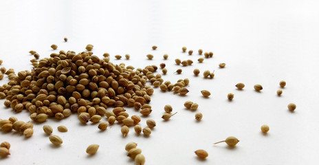 Coriander seeds