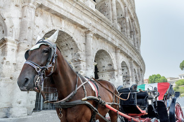 Naklejka na ściany i meble Horse drawn carriage or botticella in Italian on summer Rome street in front of ancient Colosseum