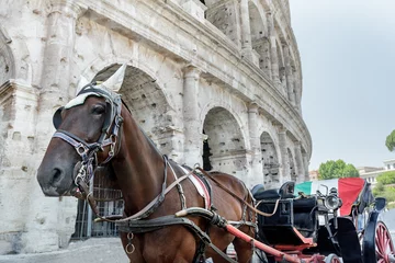  Horse drawn carriage or botticella in Italian on summer Rome street in front of ancient Colosseum © nkarol