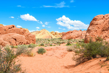 desert landscape at valley of fire national park, nevada