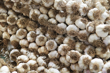 Organic garlic