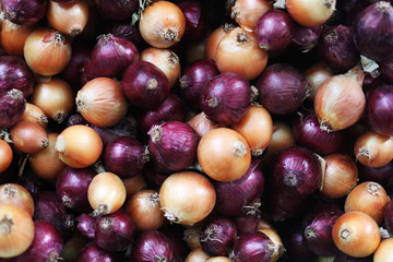 White and red onions background