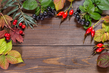 Image with autumn leaves.