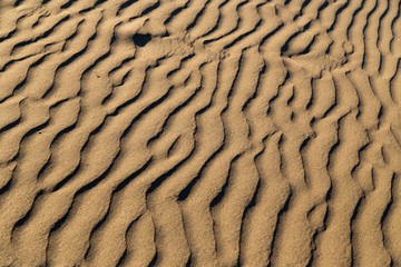Sand in the desert as a background
