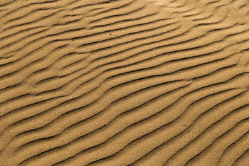 Sand in the desert as a background