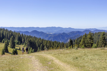 BULGARIA RHODOPE MOUNTAIN SUMMER