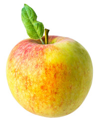 Yellow And Red Apple Isolated