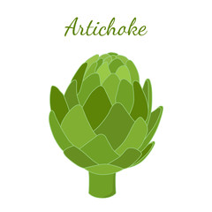 Healthy artichoke. Green vegetable. Cartoon flat style. Vector illustration