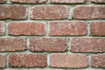  texture old brick wall