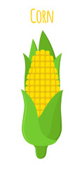 Corn, vegetarian food, healthy nutrition. Cartoon flat style. Vector illustration