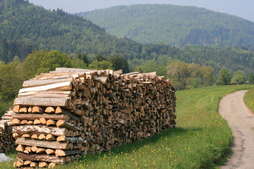 Paysage de montagne 3