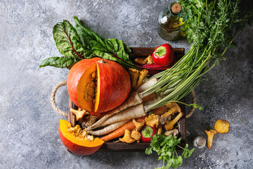 Variety of autumn harvest vegetables carrot, parsnip, chard, paprika, hokkaido pumpkin, porcini and chanterelles mushrooms in wooden tray over gray texture background. Top view with space