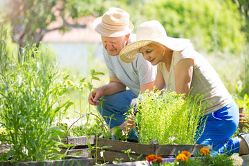 Happy healthy seniors gardening
