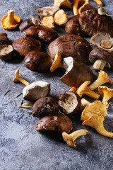 Heap of fresh forest porcini boletus and chanterelles mushrooms over gray texture background. Top view with space.
