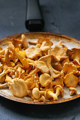 Heap of fresh uncooked forest mushrooms chanterelle in old pan over dark gray texture background.