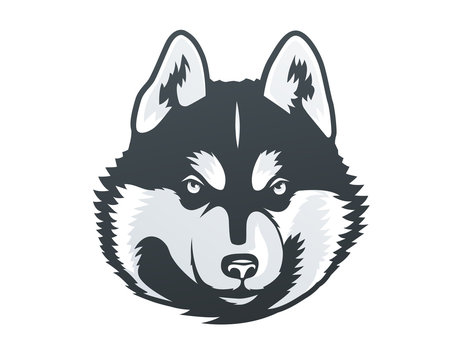 Siberian Husky head vector illustration.