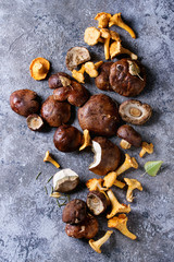 Heap of fresh forest porcini boletus and chanterelles mushrooms over gray texture background. Top view with space.