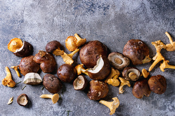 Heap of fresh forest porcini boletus and chanterelles mushrooms over gray texture background. Top view with space.