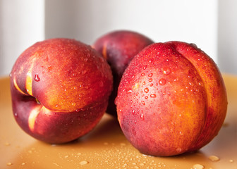 Fresh wet yellow nectarines in a plate
