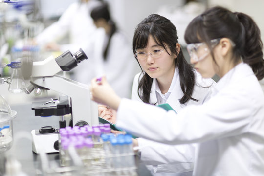 Female students researching