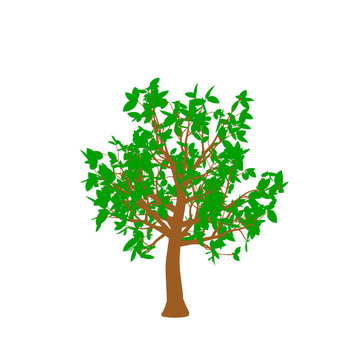 Abstract tree. Isolated on white background. Vector illustration. Flat style.