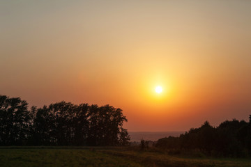 Sunset in the field