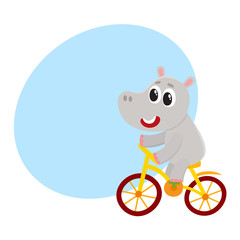 Cute little hippo character riding bicycle, cycling, cartoon vector illustration with space for text. Little baby hippo, hippopotamus animal character riding bike, bicycle, cycling happily