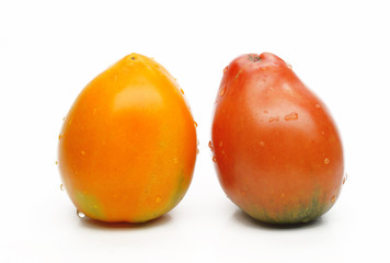 tomatoes on a white background