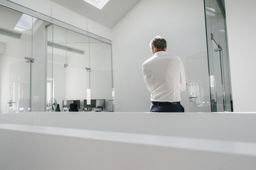 Rear view of mature businessman in bright office - Powered by Adobe