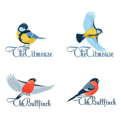 Titmouse and bullfinch as company symbols / Four concepts of logotype with titmouse and bullfinch on white background
