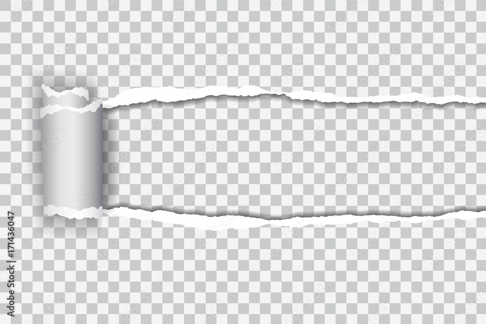 Poster set vector realistic illustration of transparent torn paper with rolled edge on transparent backgrou